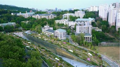 نمونه موردی دانشگاه زنان اوها سئول