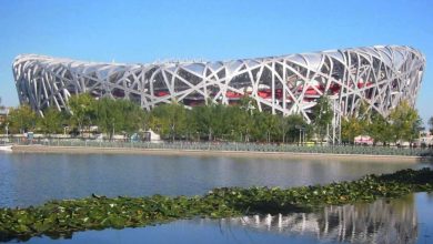 نمونه موردی استادیوم آشیانه پرنده پکن